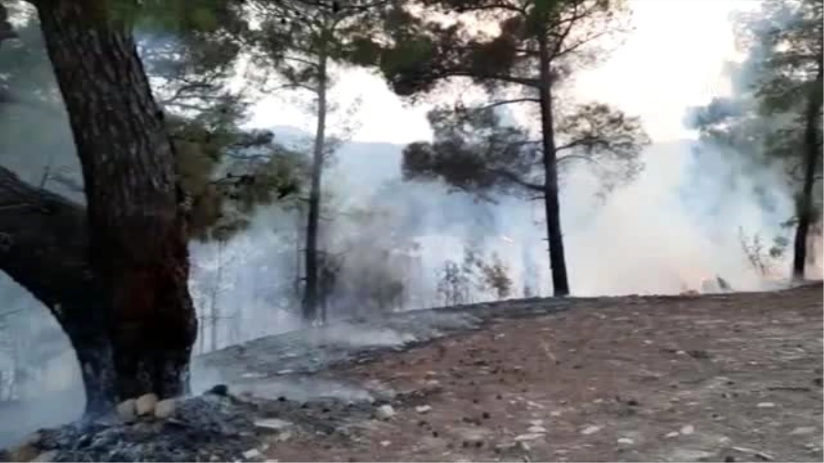 Manavgat\'ta çıkan orman yangınları söndürüldü