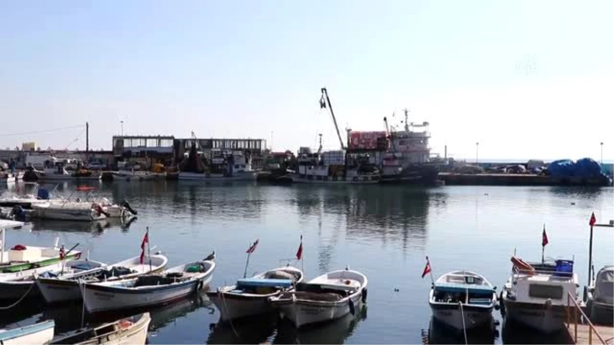Marmara\'ya ağ atacak balıkçılar umutlu