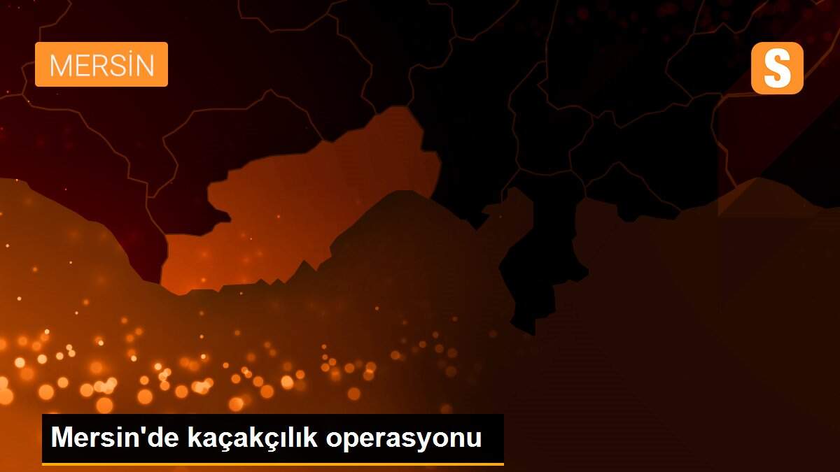 Mersin\'de kaçakçılık operasyonu