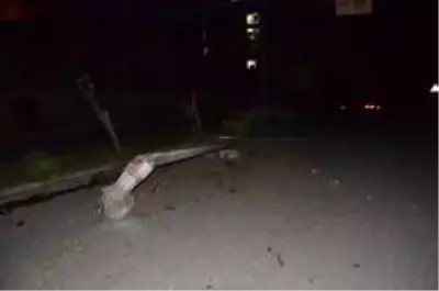 Otomobil önce ağaca sonra direğe çarptı: 2 yaralı Otomobil önce ağaca sonra direğe çarptı: 2 yaralı