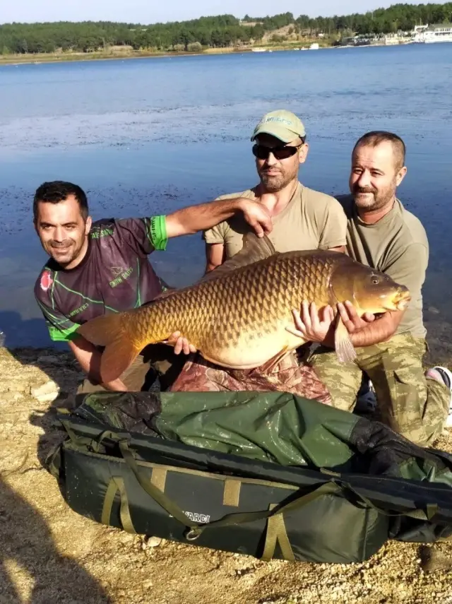 Oltaya 27,5 ağırlığında sazan balığı takıldı, görenler gözlerine inanamadı