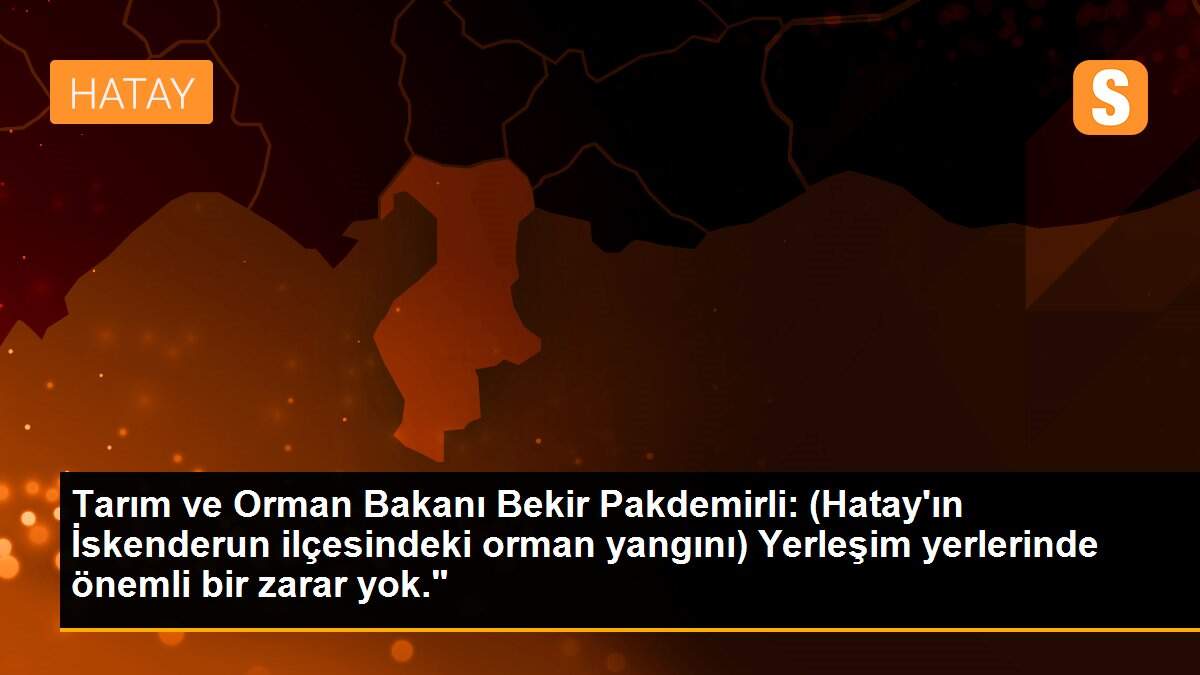 Tarım ve Orman Bakanı Bekir Pakdemirli: (Hatay\'ın İskenderun ilçesindeki orman yangını) Yerleşim yerlerinde önemli bir zarar yok."