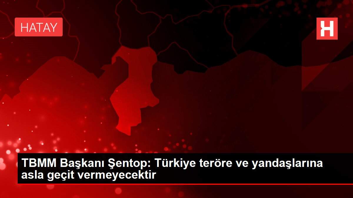 Son dakika! TBMM Başkanı Şentop: 'Hatay İskenderun'da teşebbüs edilen hain saldırı kahraman polisimizin dikkatiyle bertaraf edildi.