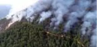 Anamur'daki orman yangınında 150 hektar alan zarar gördü