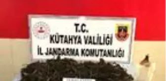 Gediz'de 11 kilo esrar ele geçirildi