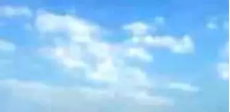 Gümüşhane'de, tabiat koruma alanı Örümcek Ormanları'nda yangın (1)