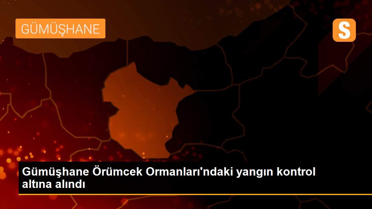 Son dakika haberleri... Gümüşhane Örümcek Ormanları\'ndaki yangın kontrol altına alındı