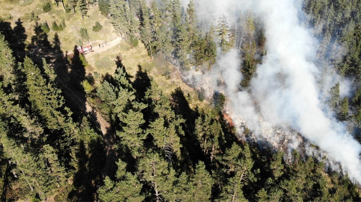 Kastamonu\'da 5 günde söndürülen orman yangınları tekrar başladı
