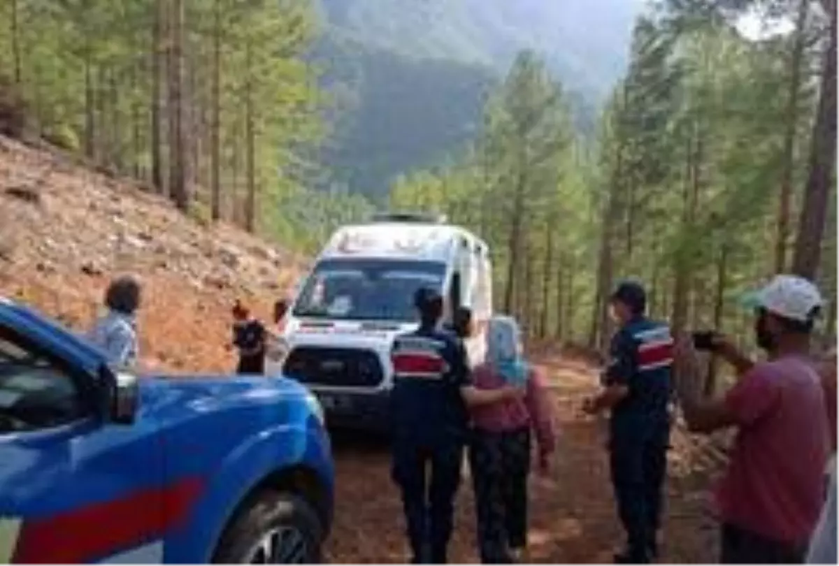 Kayıp kadın 10 gün sonra ormanda sağ olarak bulundu