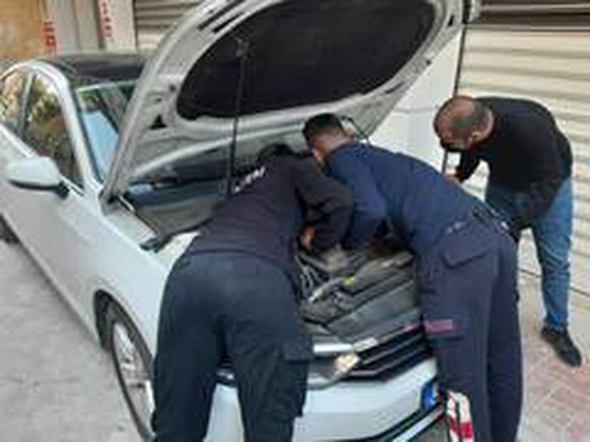 Son dakika haberi: Lüks otomobilin motoruna sıkışan kedi kurtarıldı