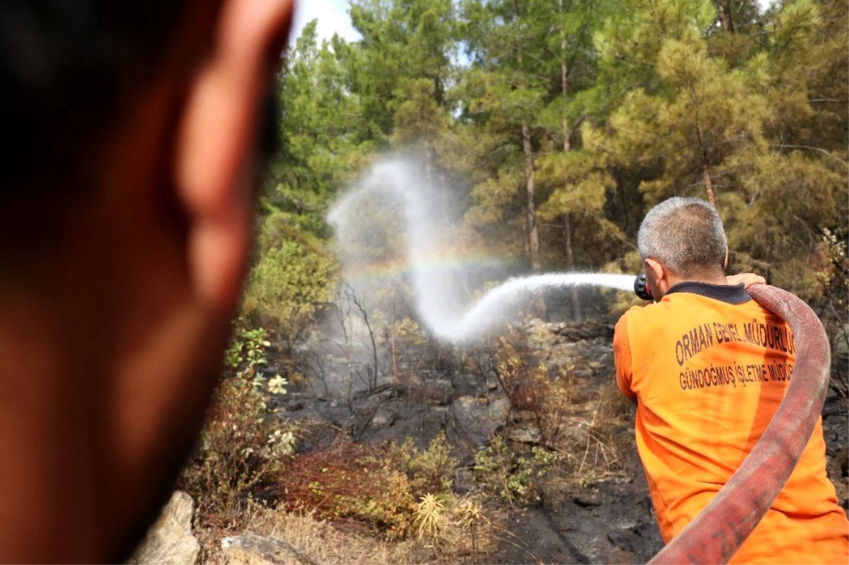 Mersin\'deki orman yangınında soğutma çalışmaları sürüyor
