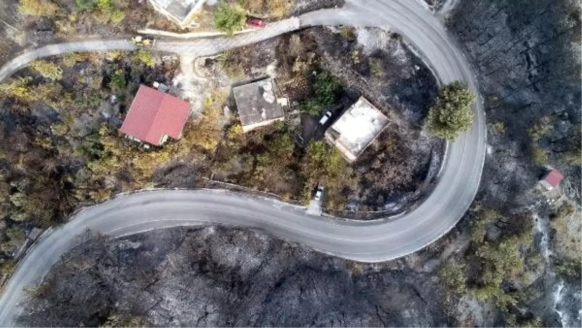 Son dakika haber... Söndürme çalışmalarının sürdüğü İskenderun\'da Azganlık Şehitliği, yangından etkilenmedi (4)