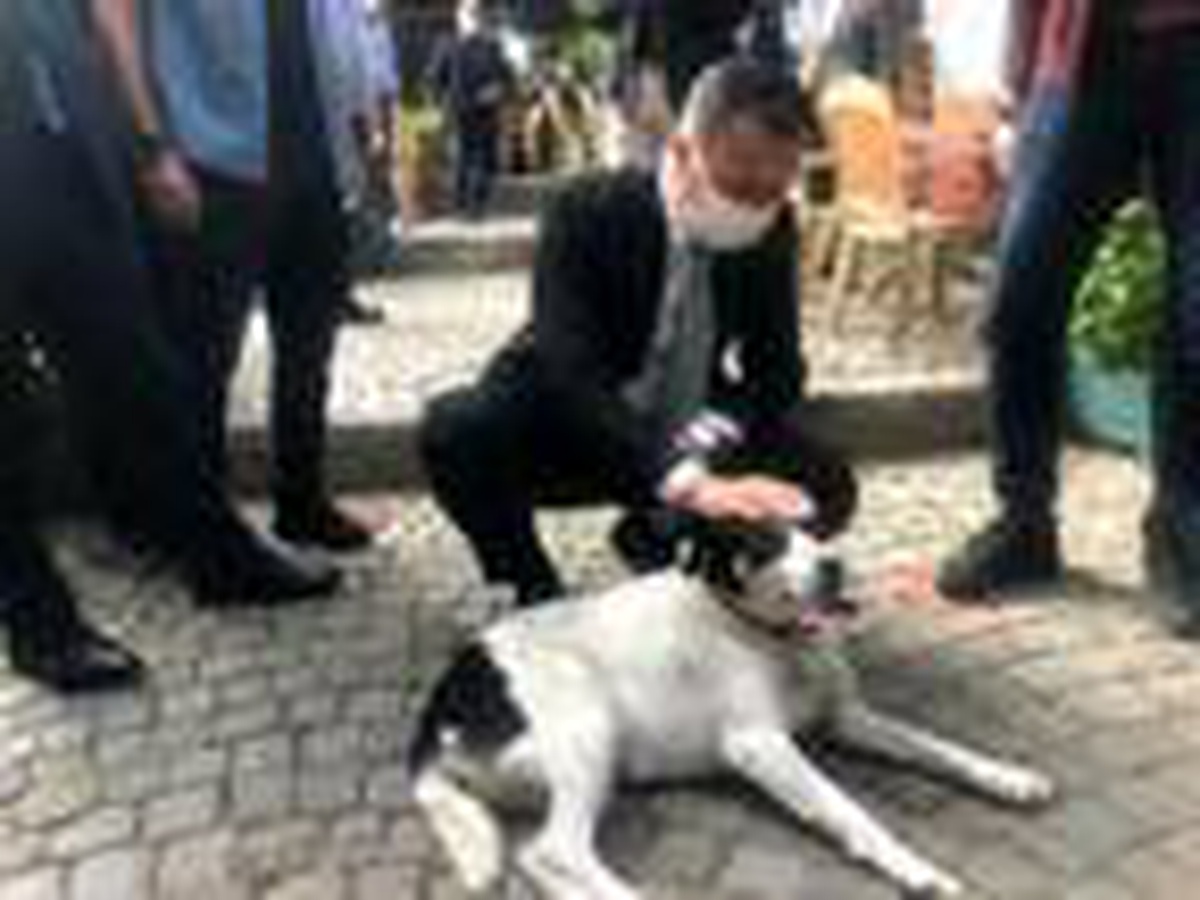 Vali Yerlikaya Kariye Camii\'nde incelemelerde bulundu