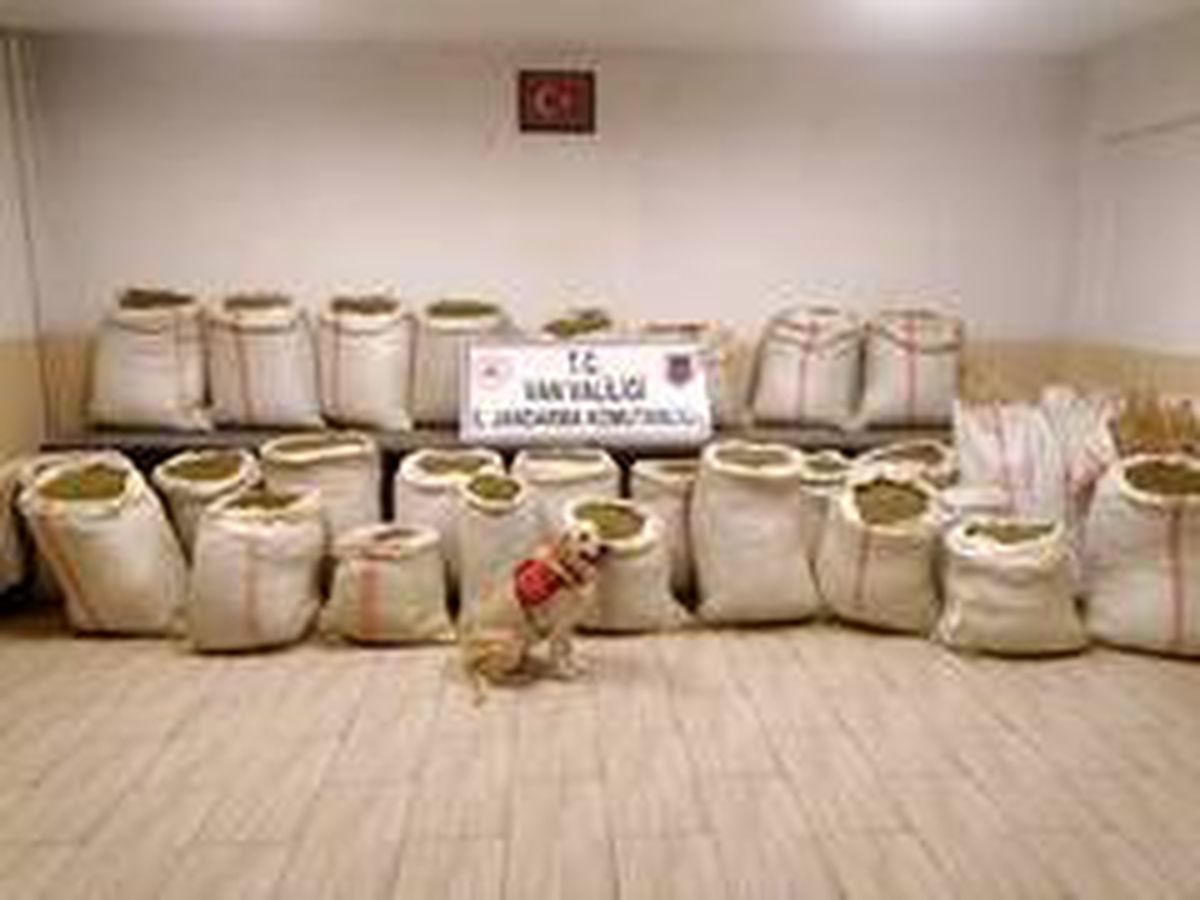 Van\'da 732 kilogram esrar ele geçirildi