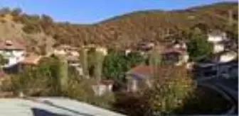 Çobanın testi pozitif çıktı, köy karantinaya alındı