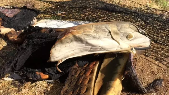 Son dakika! Elazığ'da yangında 8 aylık bebek öldü, 2 çocuk yaralandı