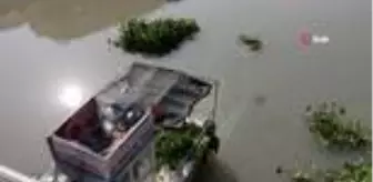 Hatay'da su sümbülleriyle mücadele sürüyor