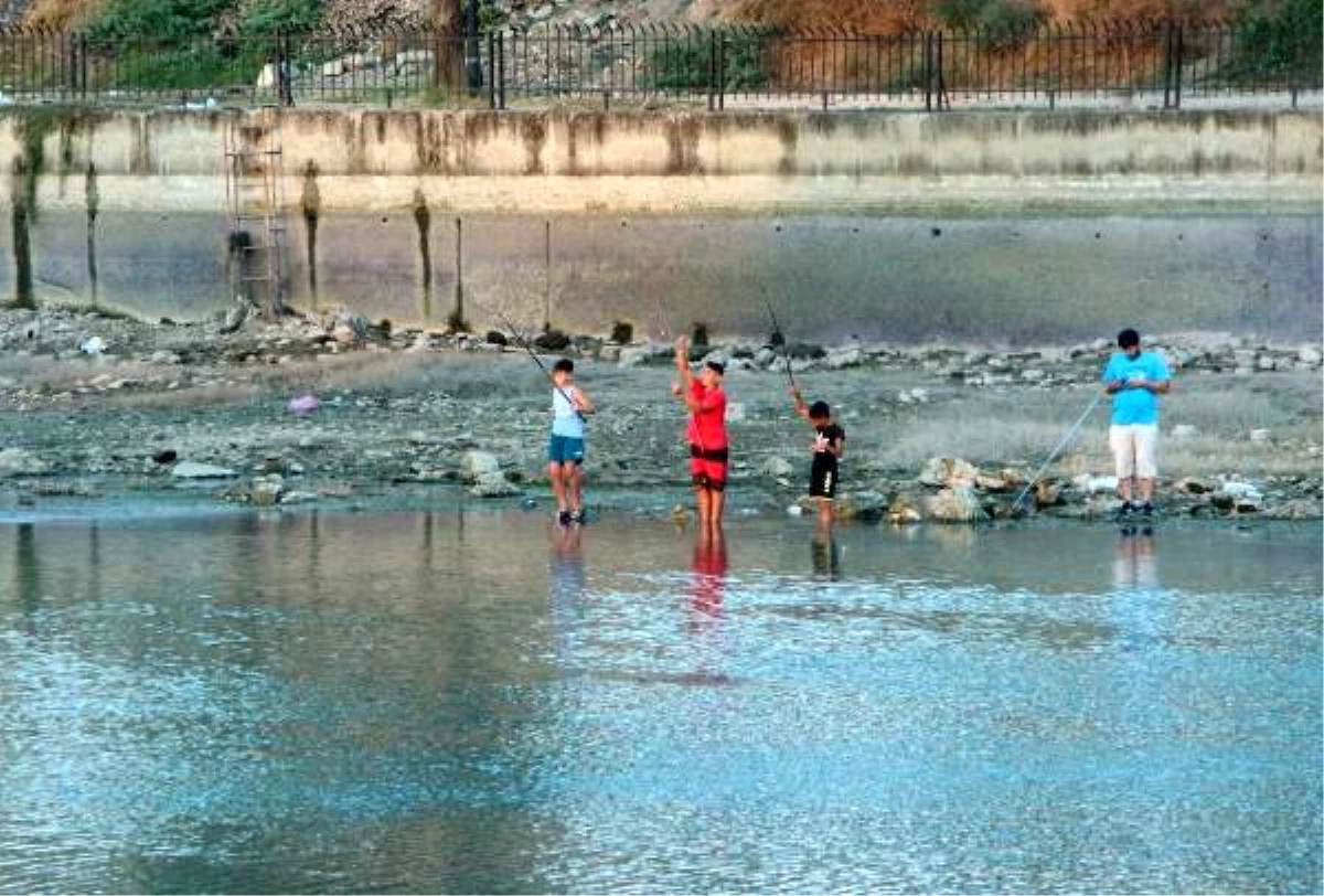 Suyu çekilen Seyhan Nehri\'ne inip, balık için hayatlarını tehlikeye attılar