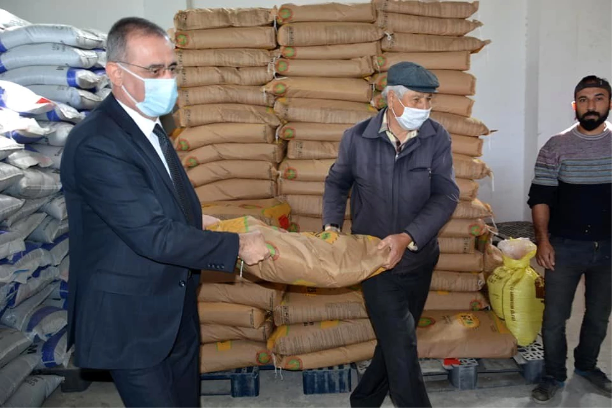 Aydın\'da 140 ton fiğ ve arpa tohumu dağıtımı yapılıyor