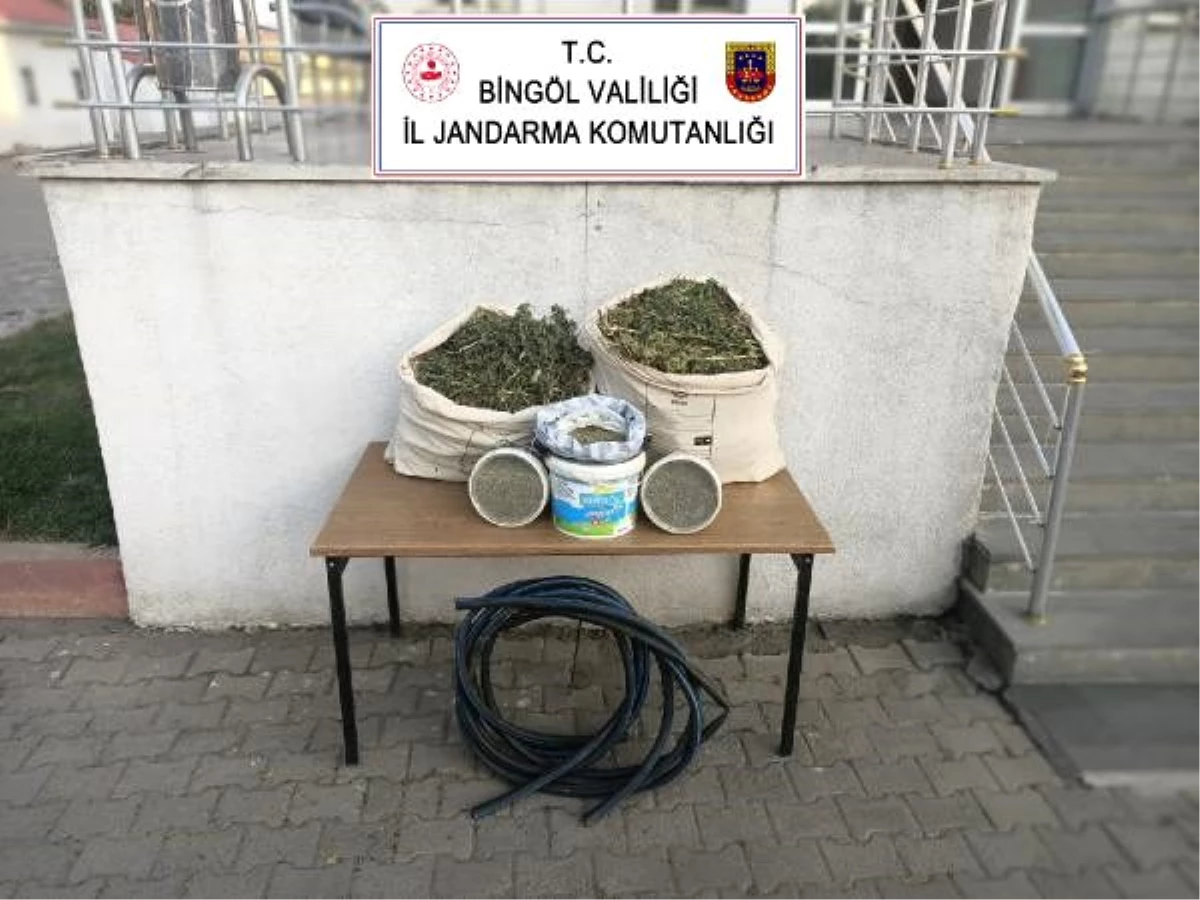 Bingöl\'de 21 kilo esrar ele geçirildi