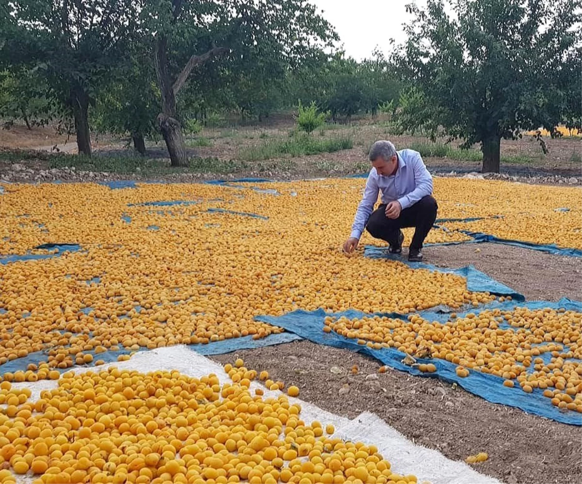 Doğu\'da en fazla ihracat Malatya\'dan gerçekleştiriliyor