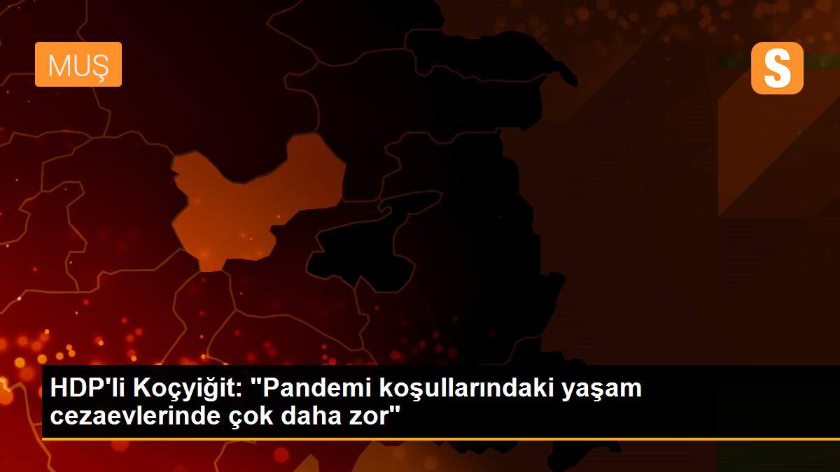 HDP\'li Koçyiğit: "Pandemi koşullarındaki yaşam cezaevlerinde çok daha zor"