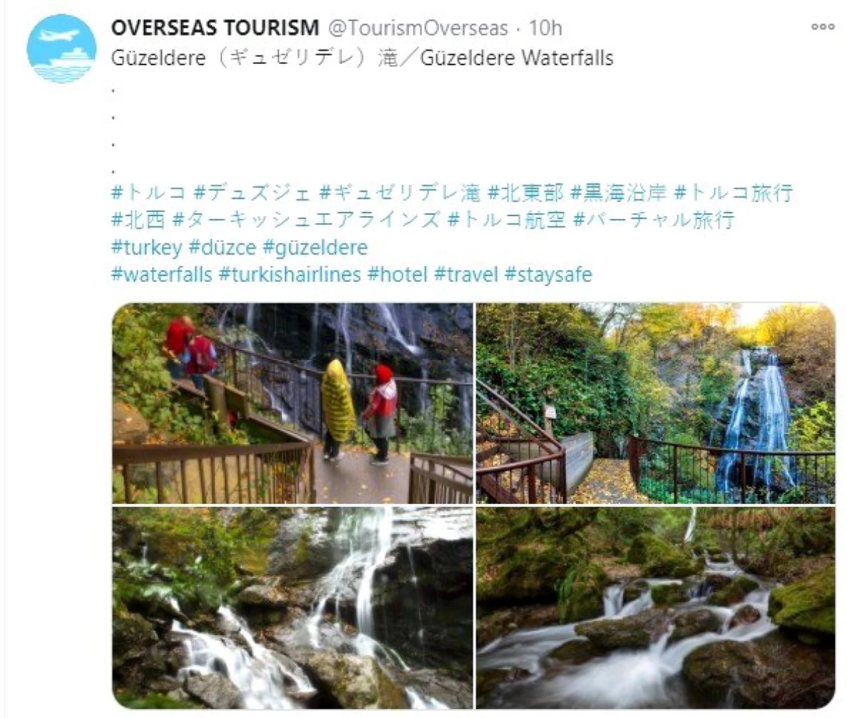 Japon turistlere Düzce tanıtımı yapılıyor