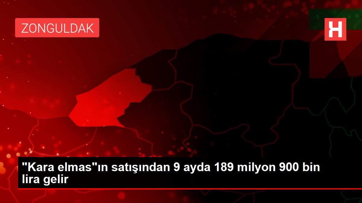 'Kara elmas'ın satışından 9 ayda 189 milyon 900 bin lira gelir