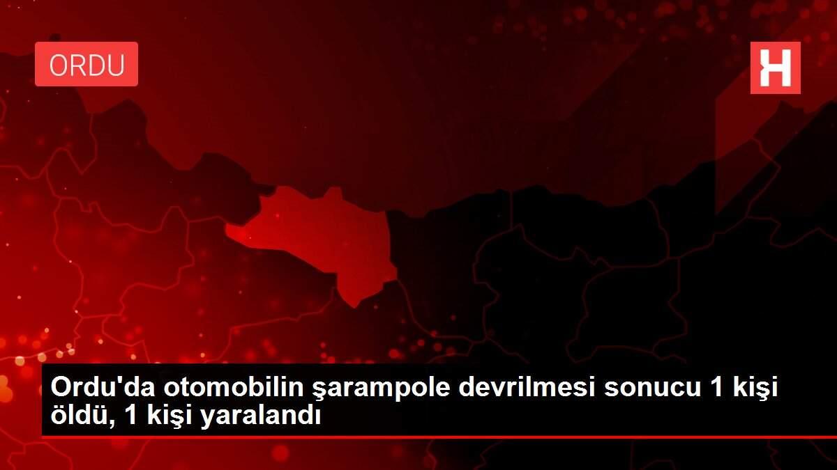 Ordu'da otomobilin şarampole devrilmesi sonucu 1 kişi öldü, 1 kişi yaralandı