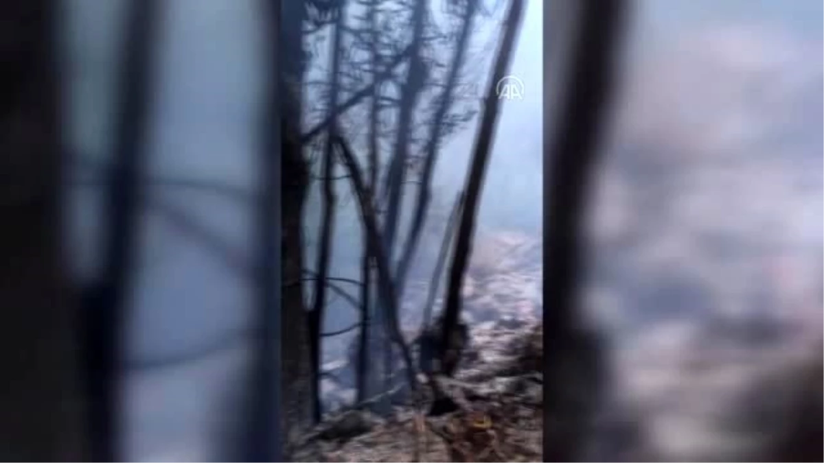 Son dakika gündem: Gümüşhane\'de Üçtaş köyündeki örtü yangını da kontrol altına alındı
