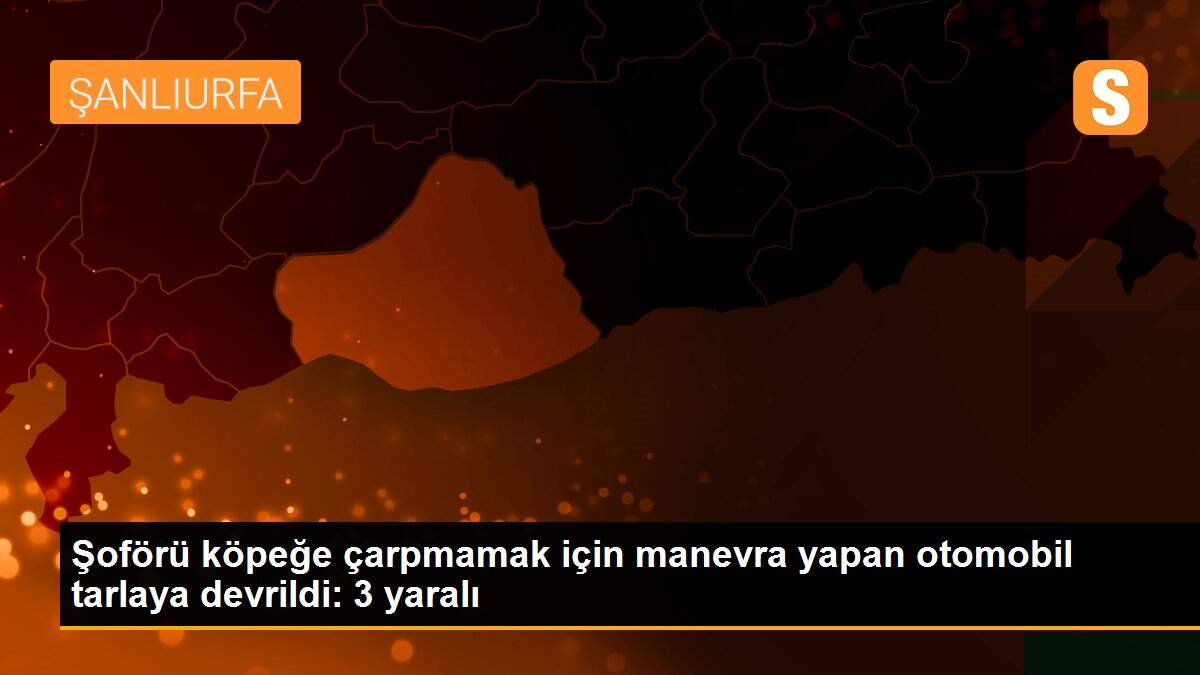 Köpeğe çarpmamak için manevra yapan otomobil devrildi
