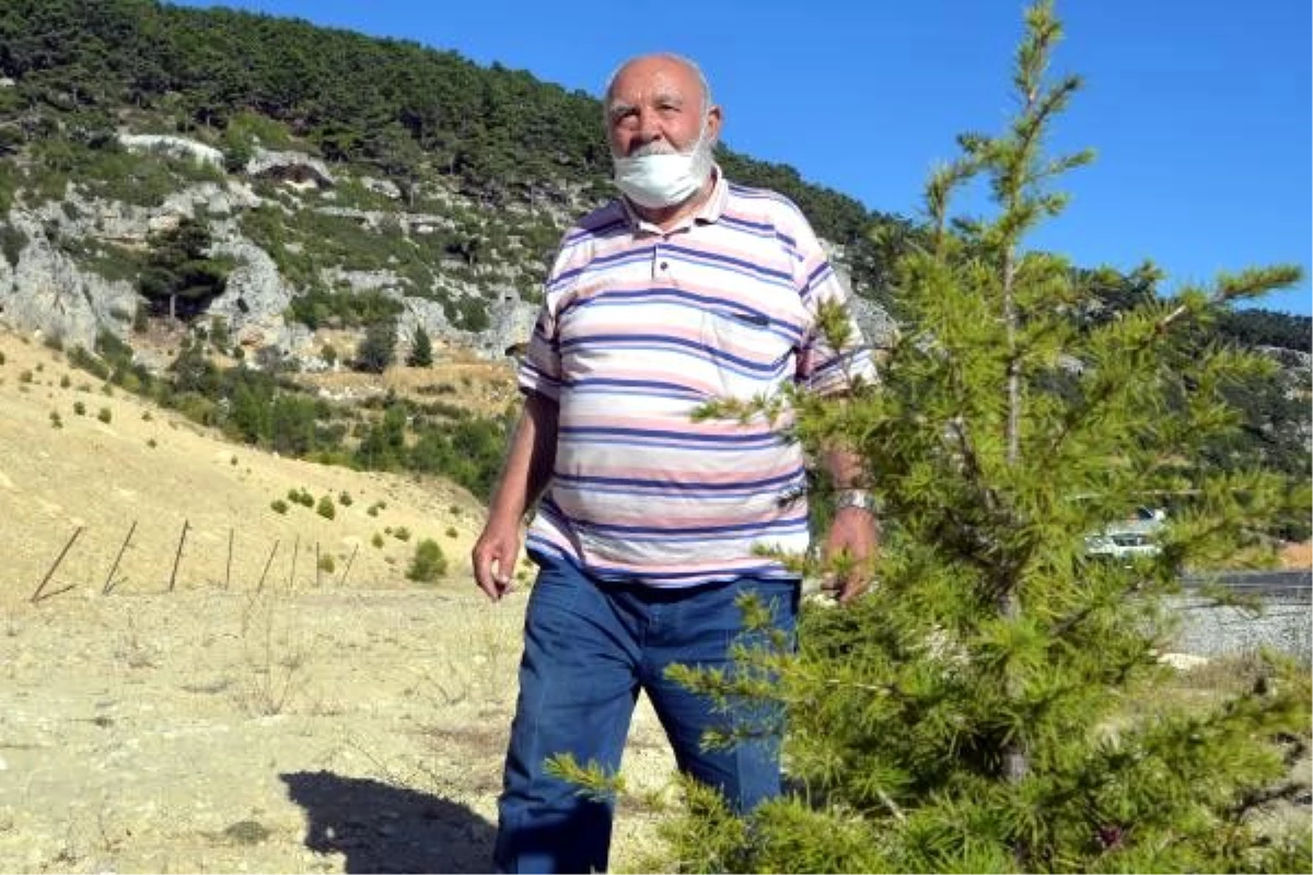 Yeşil aşığı Musa Eroğlu, heyelana karşı önlem istiyor