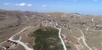 2 bin rakımlı yaylaya bisiklet yolu