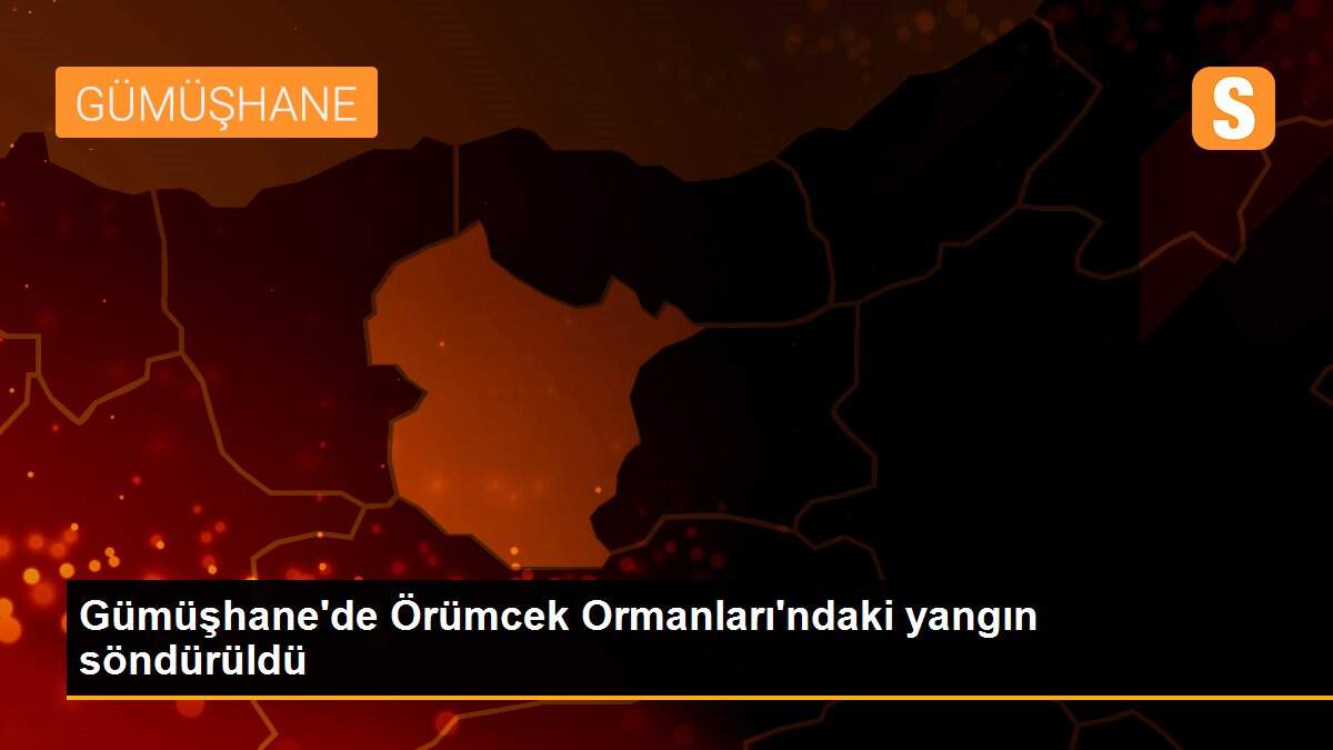 Gümüşhane\'de Örümcek Ormanları\'ndaki yangın söndürüldü