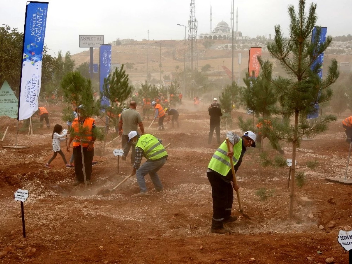 Habeş Kanyonu ile Fırat Nehri arasında 27 milyon fidan dikilecek