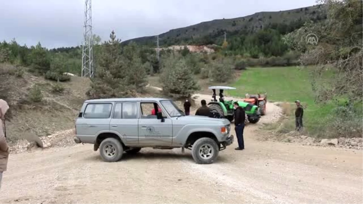 Mantar toplamak için ormana izinsiz girenlere para cezası verildi