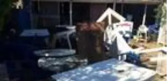 Seferihisar'da balıklar karaya vurdu