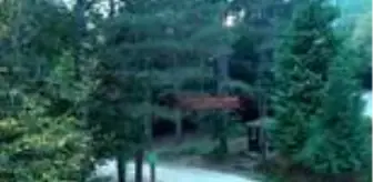 Teşvikiye Kent Ormanında sonbahar güzelliği