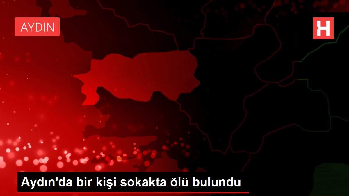 Aydın'da bir kişi sokakta ölü bulundu