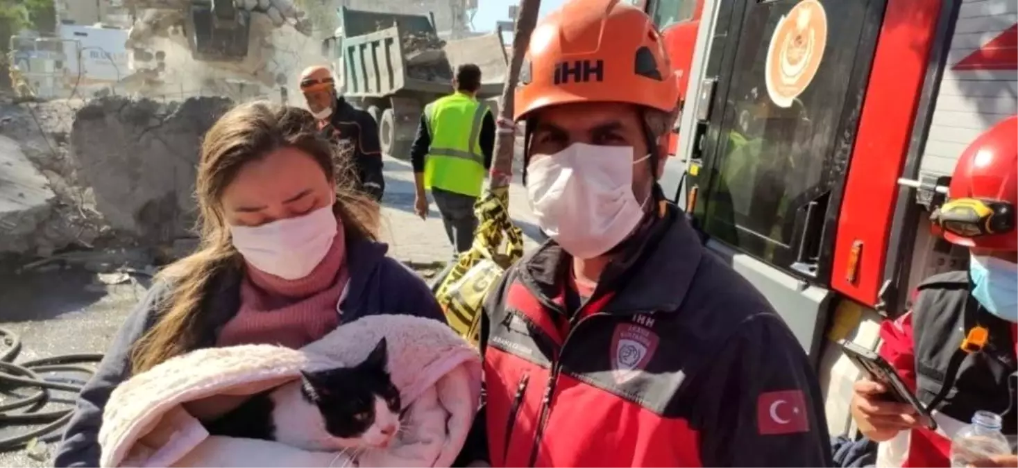 Enkazdan biri hamile dört kedi kurtarıldı