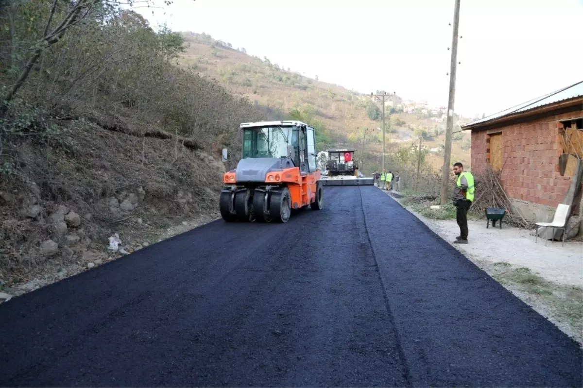 Ordu\'da asfalt seferberliği sürüyor