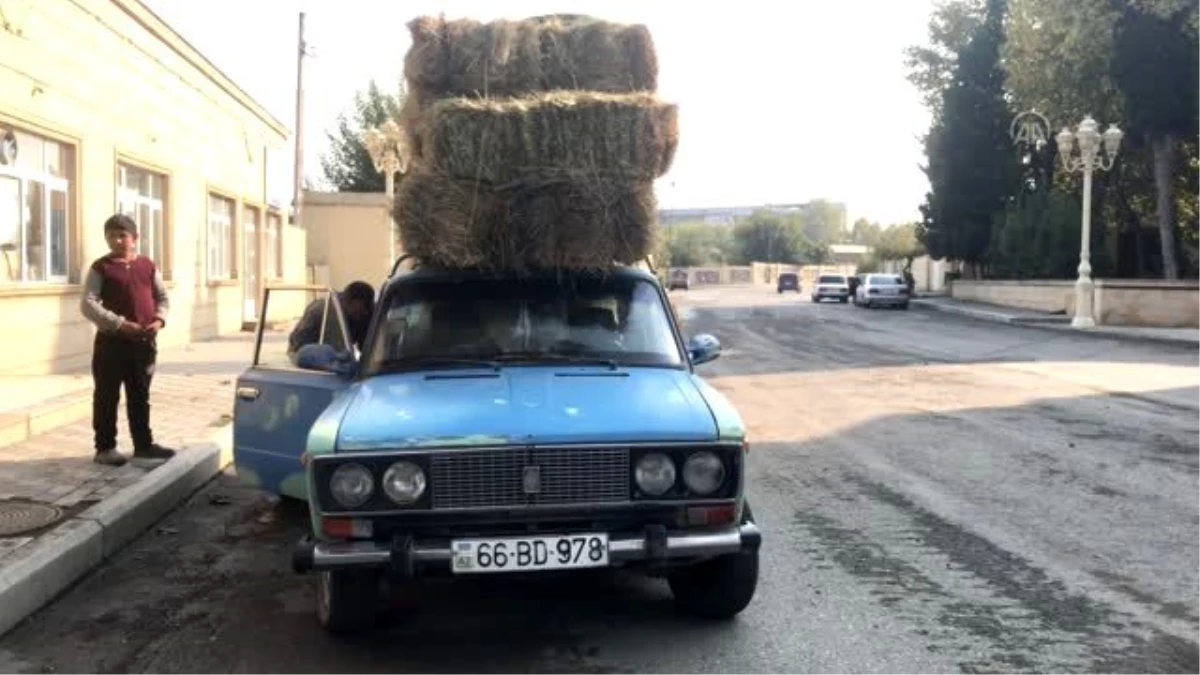 Azerbaycanlı çiftçiler ihtiyaçları için Ermenistan\'ın vurduğu Terter\'e geliyor