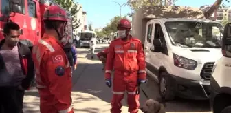 Son dakika! Hassas burunlarıyla enkaz altındakileri hayata bağlıyorlar