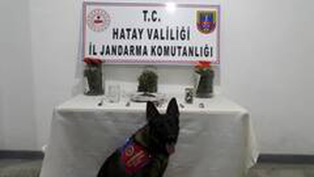 Hatay\'da uyuşturucu operasyonu: 1 tutuklama