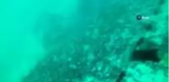 Hitlerin kayıp deniz altısındaki hayalet ağlar temizleniyor