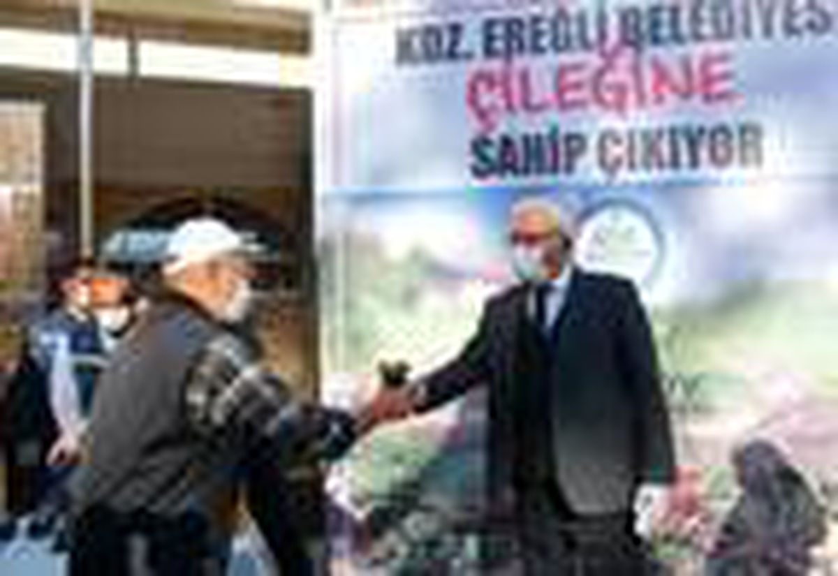 2 bin 500 osmanlı çileği fidesi ücretsiz dağıtıldı