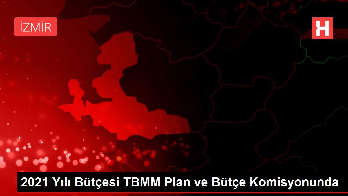 2021 Yılı Bütçesi TBMM Plan ve Bütçe Komisyonunda