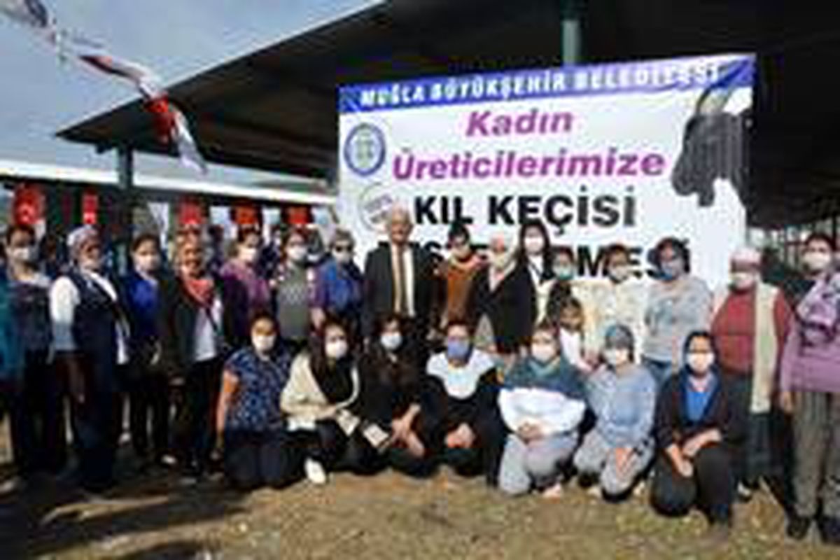 Büyükşehir Ortaca\'da kıl keçisi dağıttı
