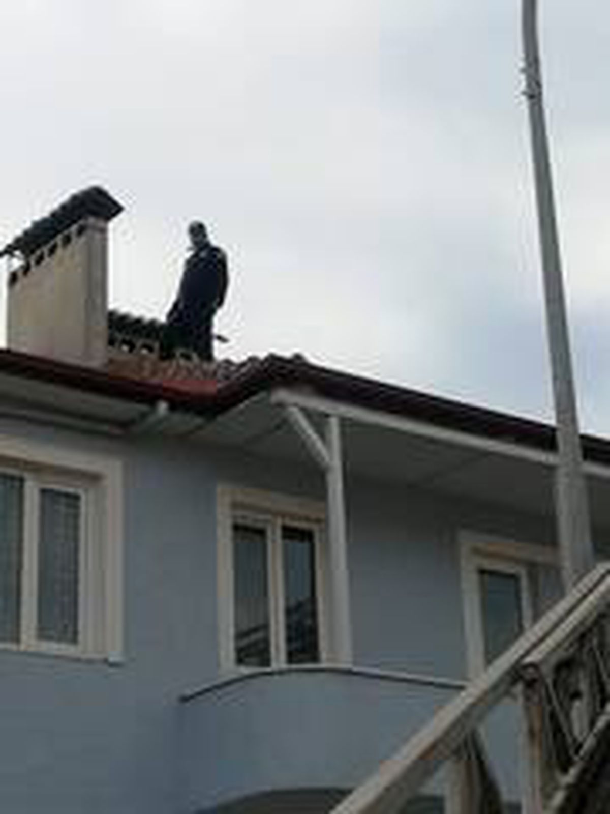 Son dakika haber | Çatıda mahsur kalan kediyi itfaiye ekipleri kurtardı