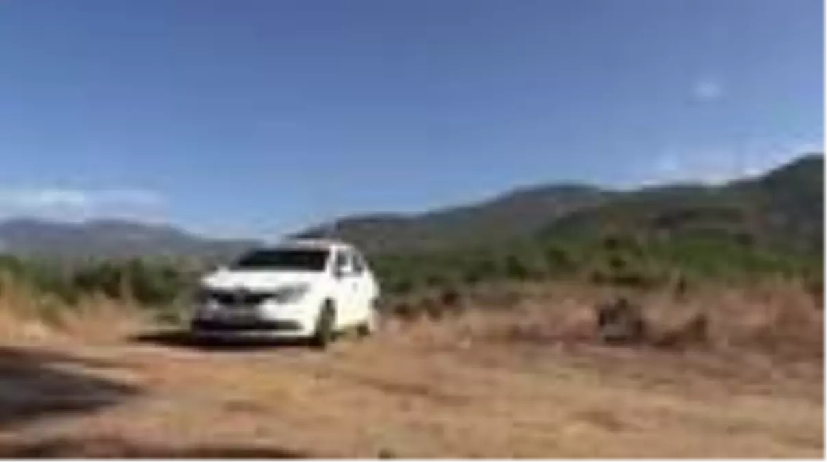 Girişimci kadın, devlet desteğiyle muz üreticisi oldu